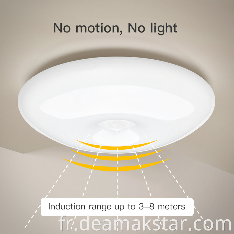 Ceiling Sensor Light